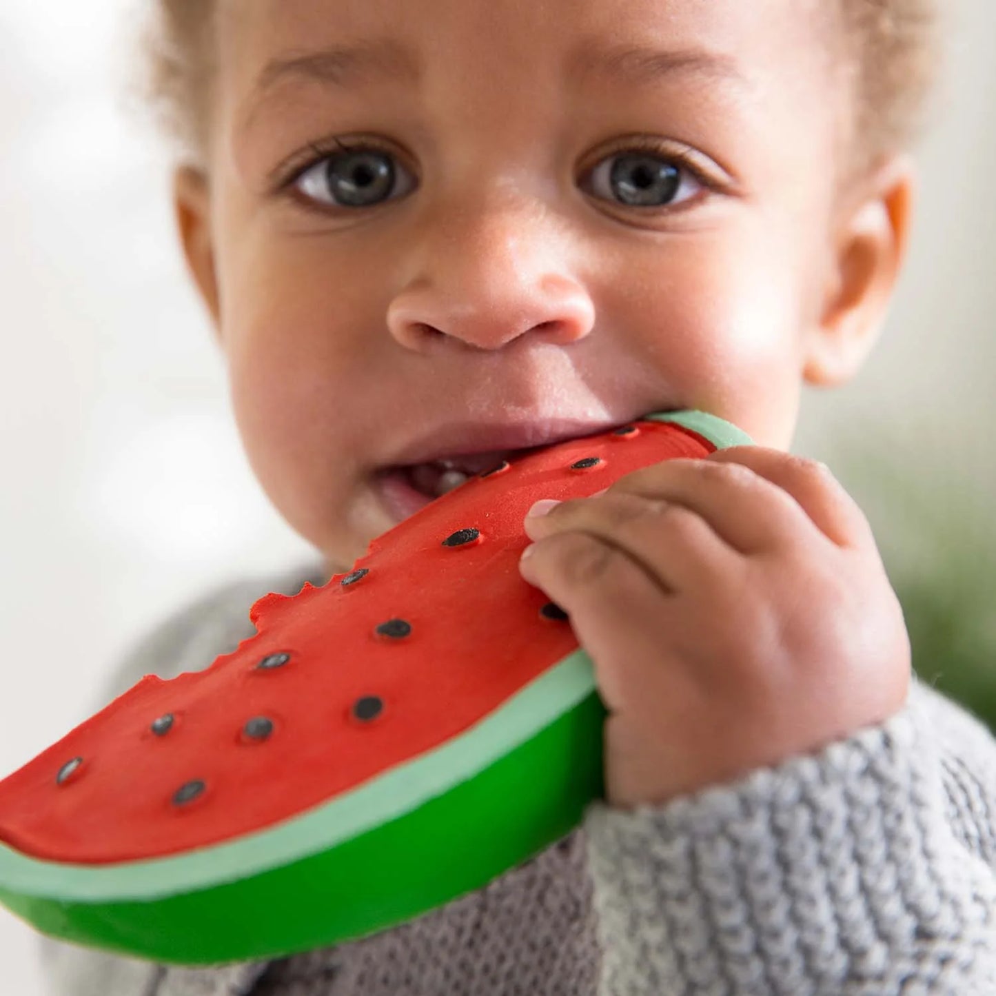 Oli & Carol Natrual Rubber Teether & Bath Toy