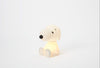 Snoopy Bundle of Light Lamp