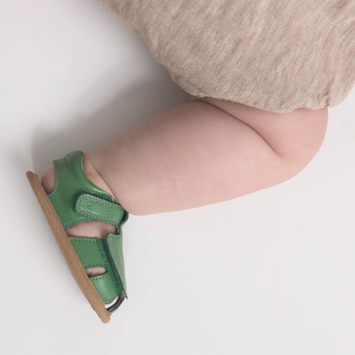 Pretty Brave Milo Grass