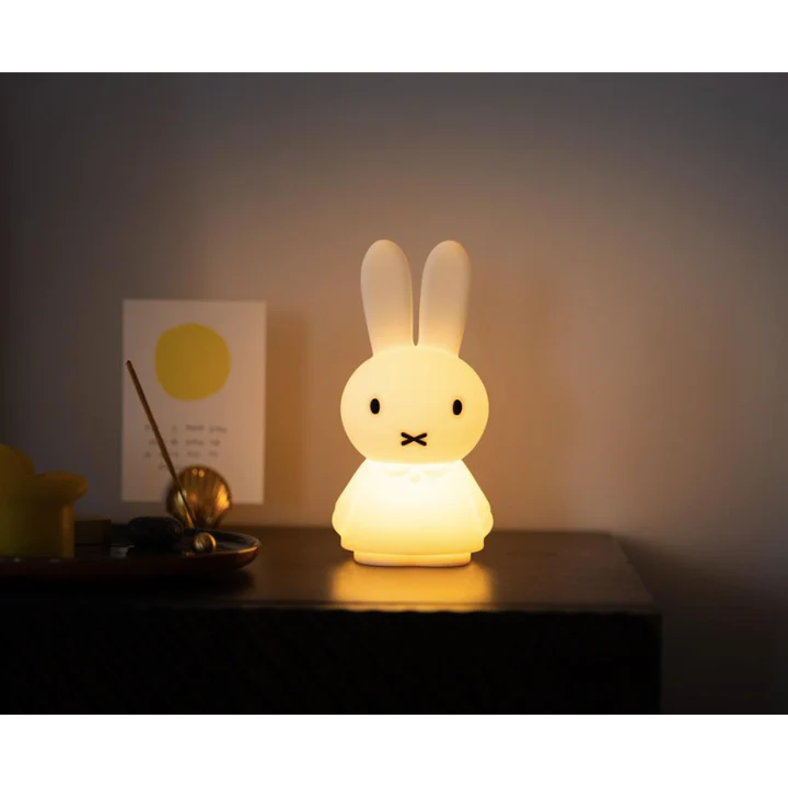 Miffy Shines Light
